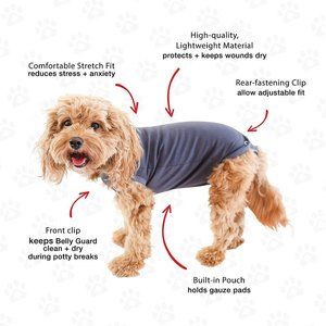 Belly Guard Dog Recovery Onesie Post-Surgery Cone Alternative XLarge